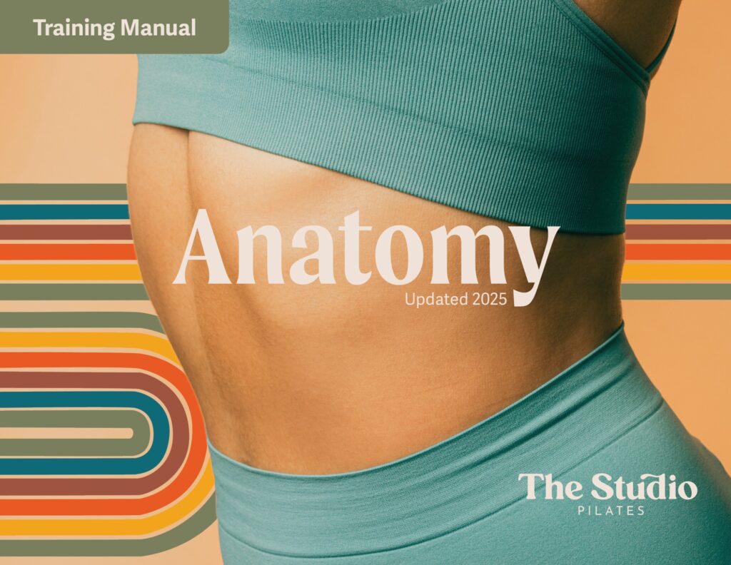 The Studio Pilates Anatomy Training Manual cover, the Anatomy Course for Atlanta Pilates teacher trainees